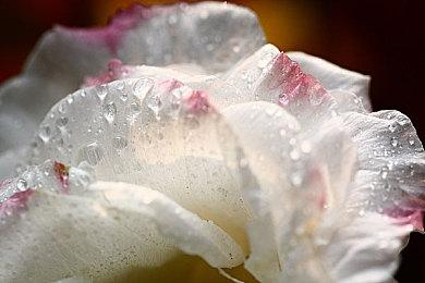 《暗黑破坏神4》将通过补丁正式支持DirectStorage